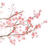 昆明市图书馆
