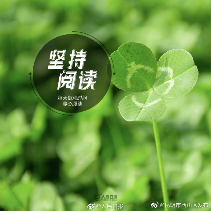 昆明市西山区发布