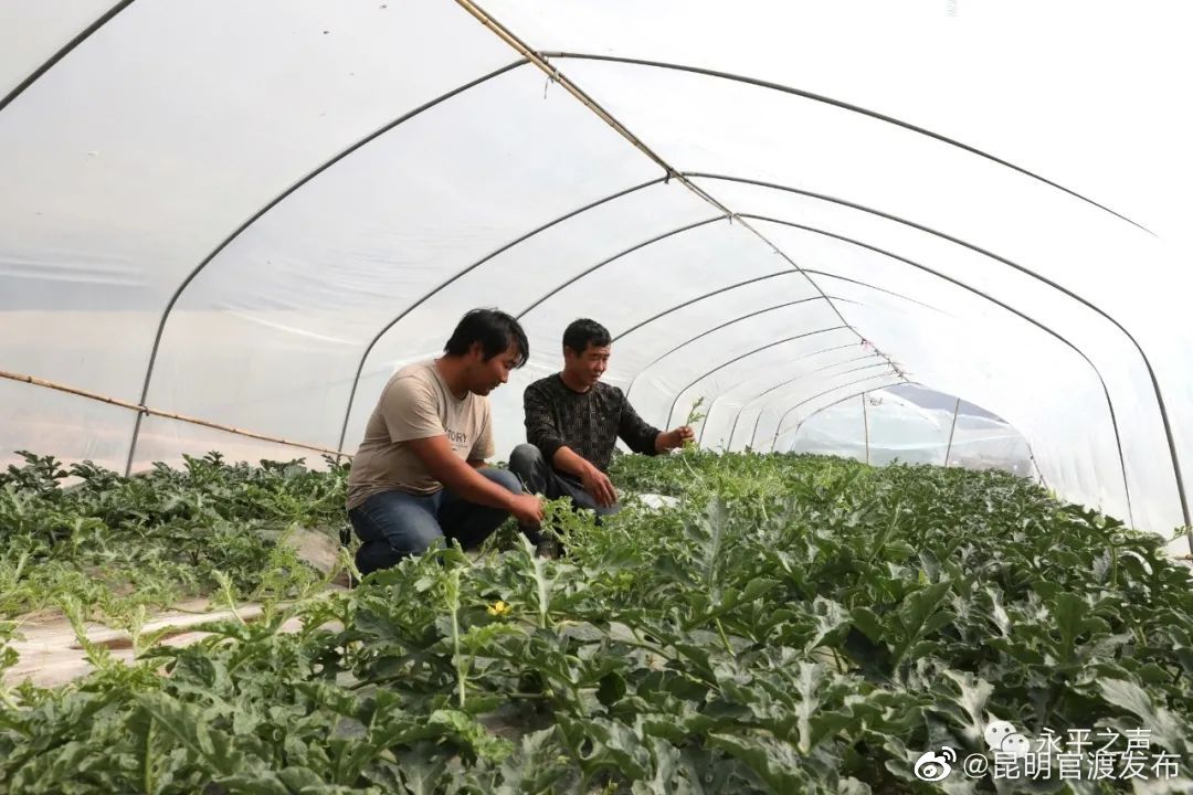 “昆明官渡发布”微博