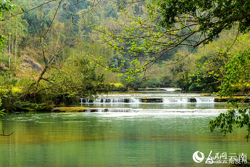 “云南发布”微博