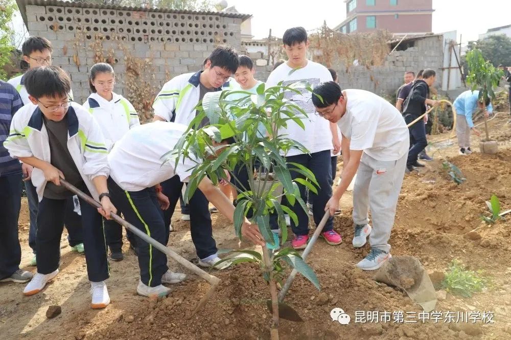 东川教育