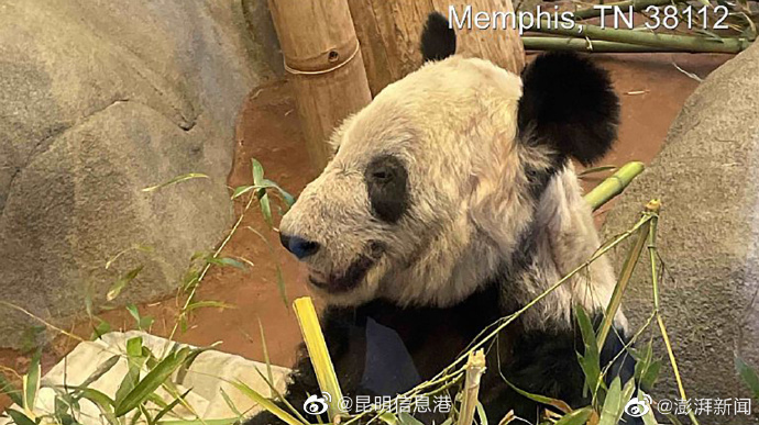 昆明信息港（微博）