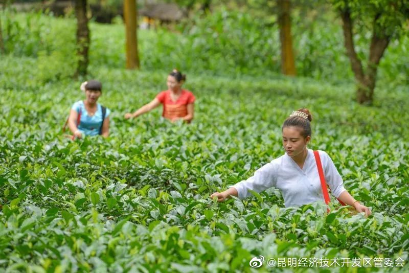 昆明经济技术开发区管委会