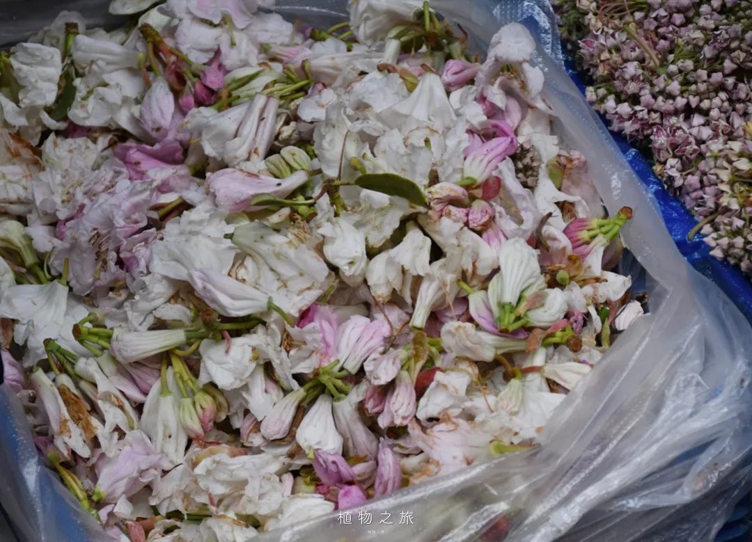 云南省文化和旅游厅