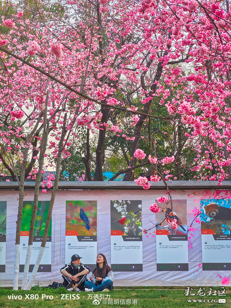 昆明信息港（微博）