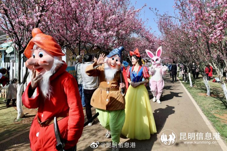 昆明信息港（微博）