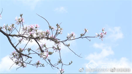 昆明经济技术开发区管委会