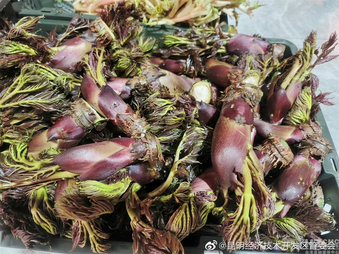 昆明经济技术开发区管委会