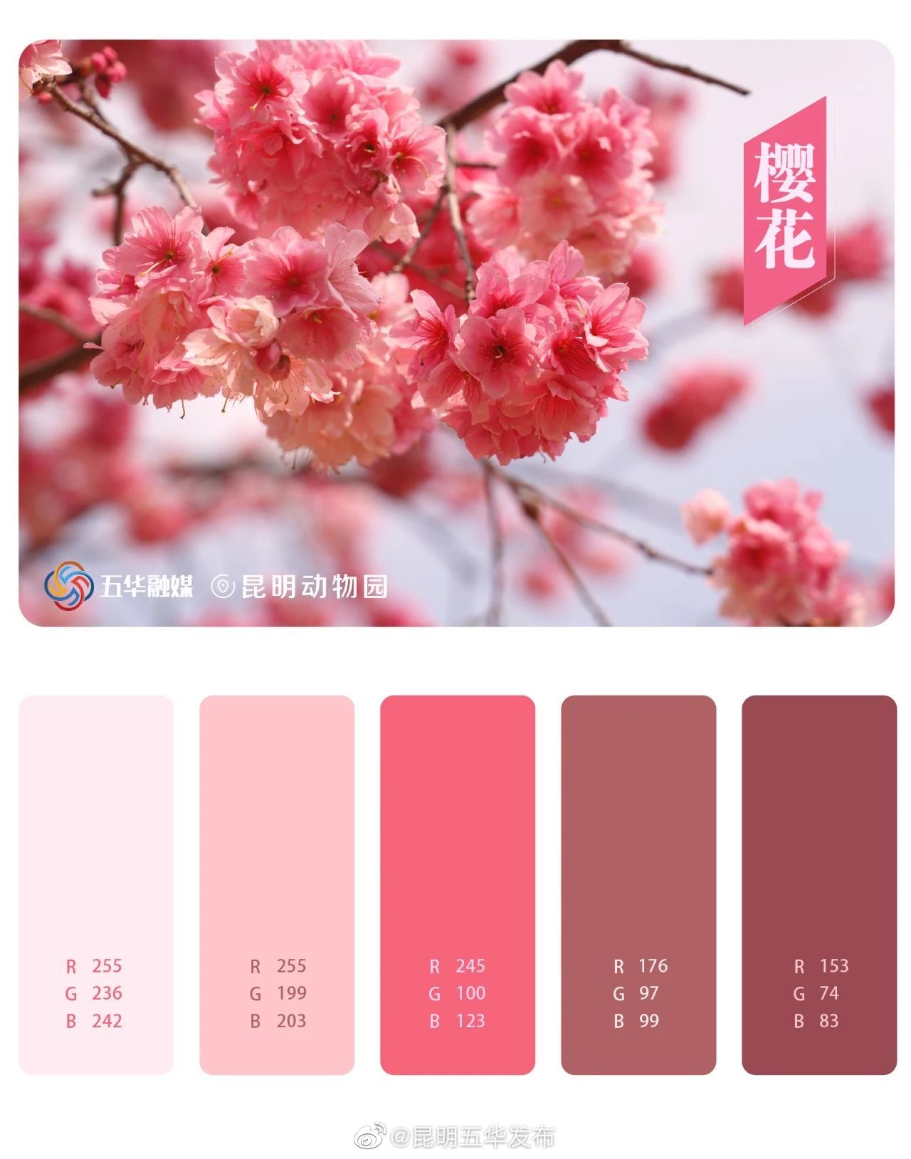 昆明五华发布
