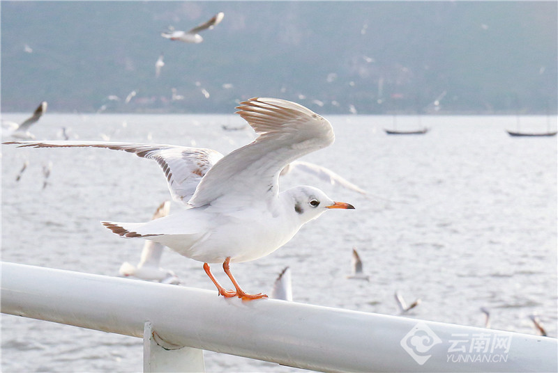 云南省文化和旅游厅