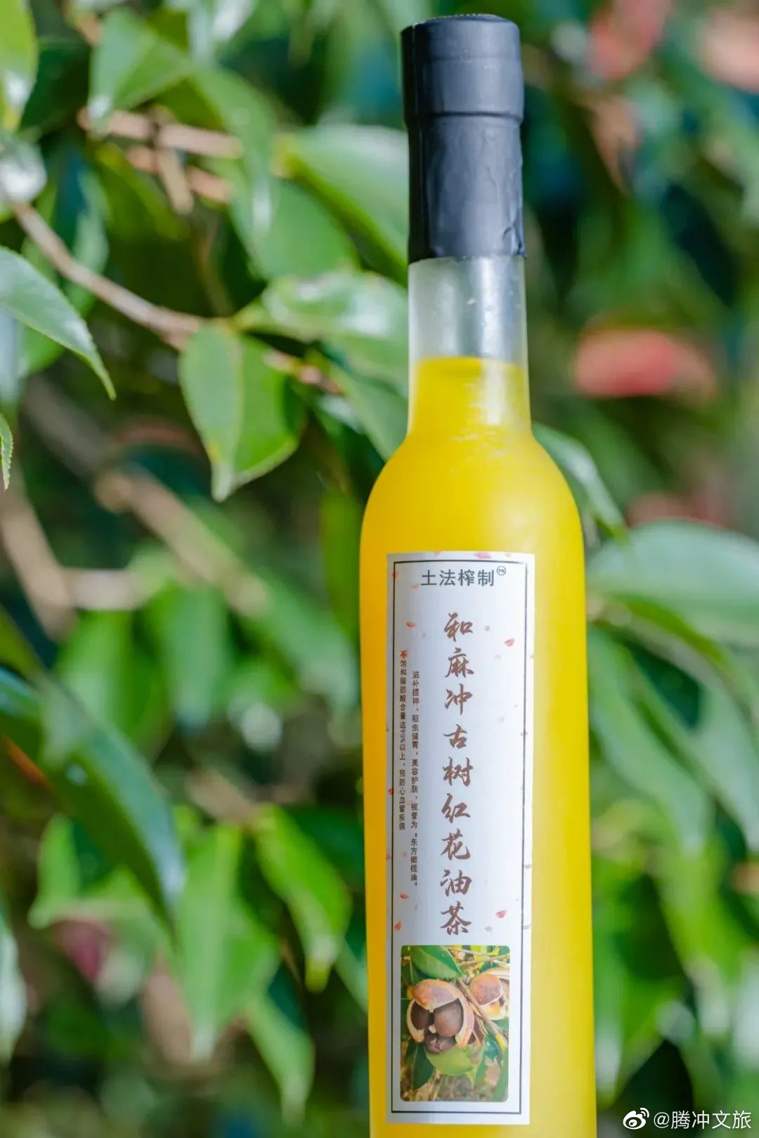 腾冲文旅微博