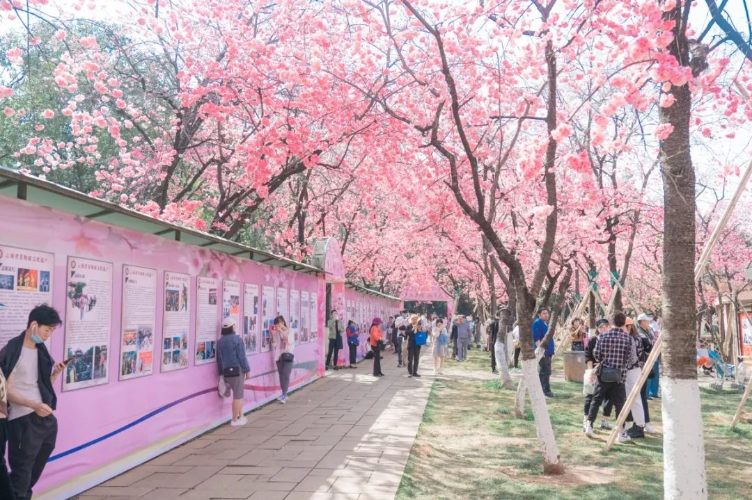 一部手机游云南