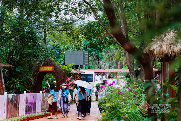 云南省文化和旅游厅