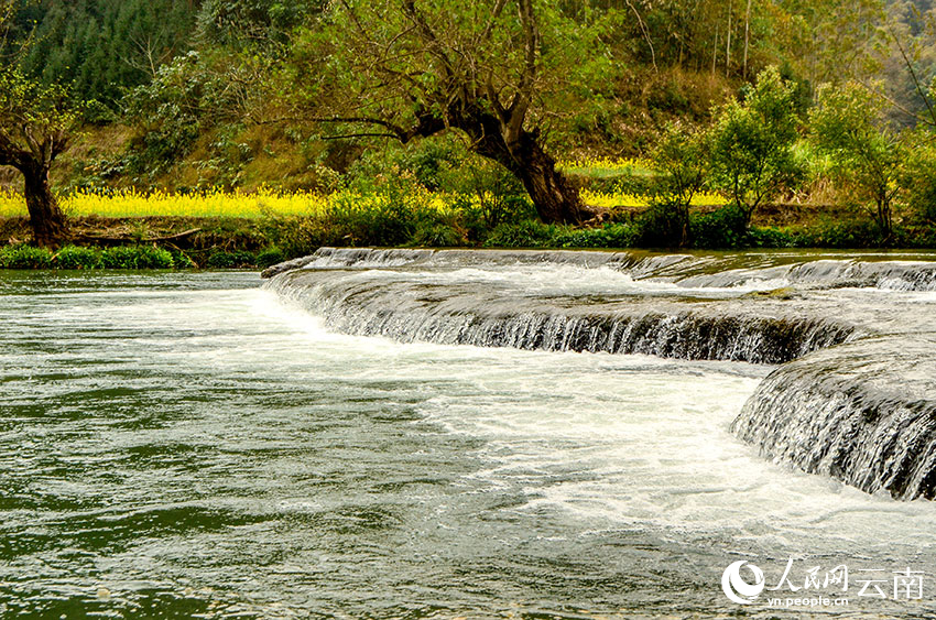 云南省文化和旅游厅