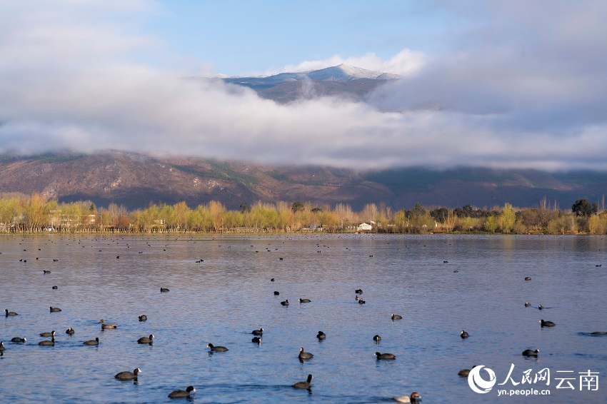 云南省文化和旅游厅