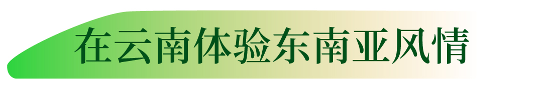 云南省文化和旅游厅