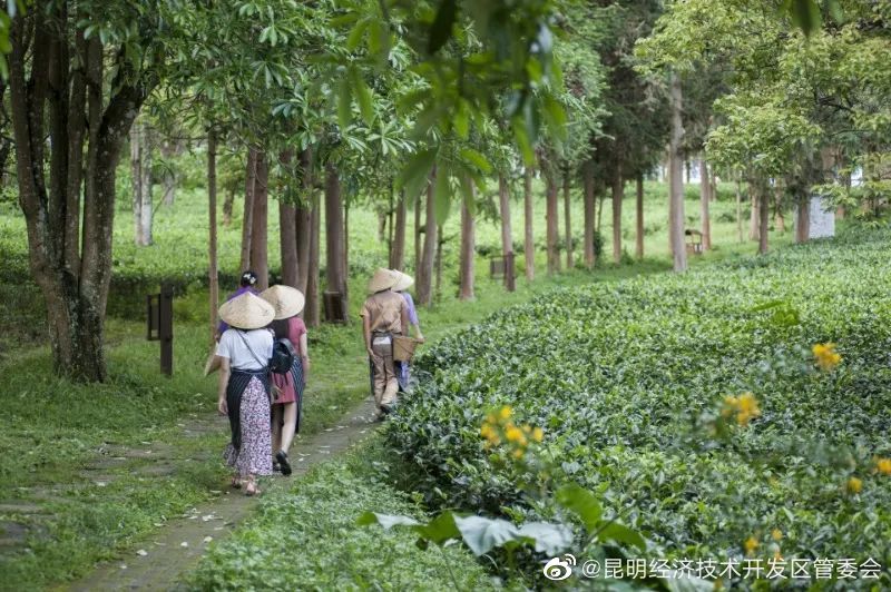 昆明经济技术开发区管委会