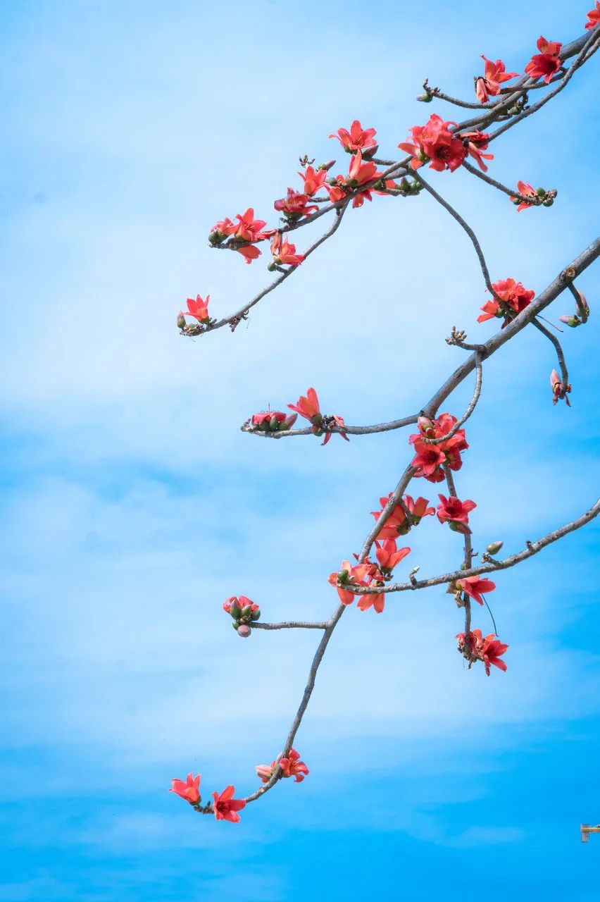 一部手机游云南