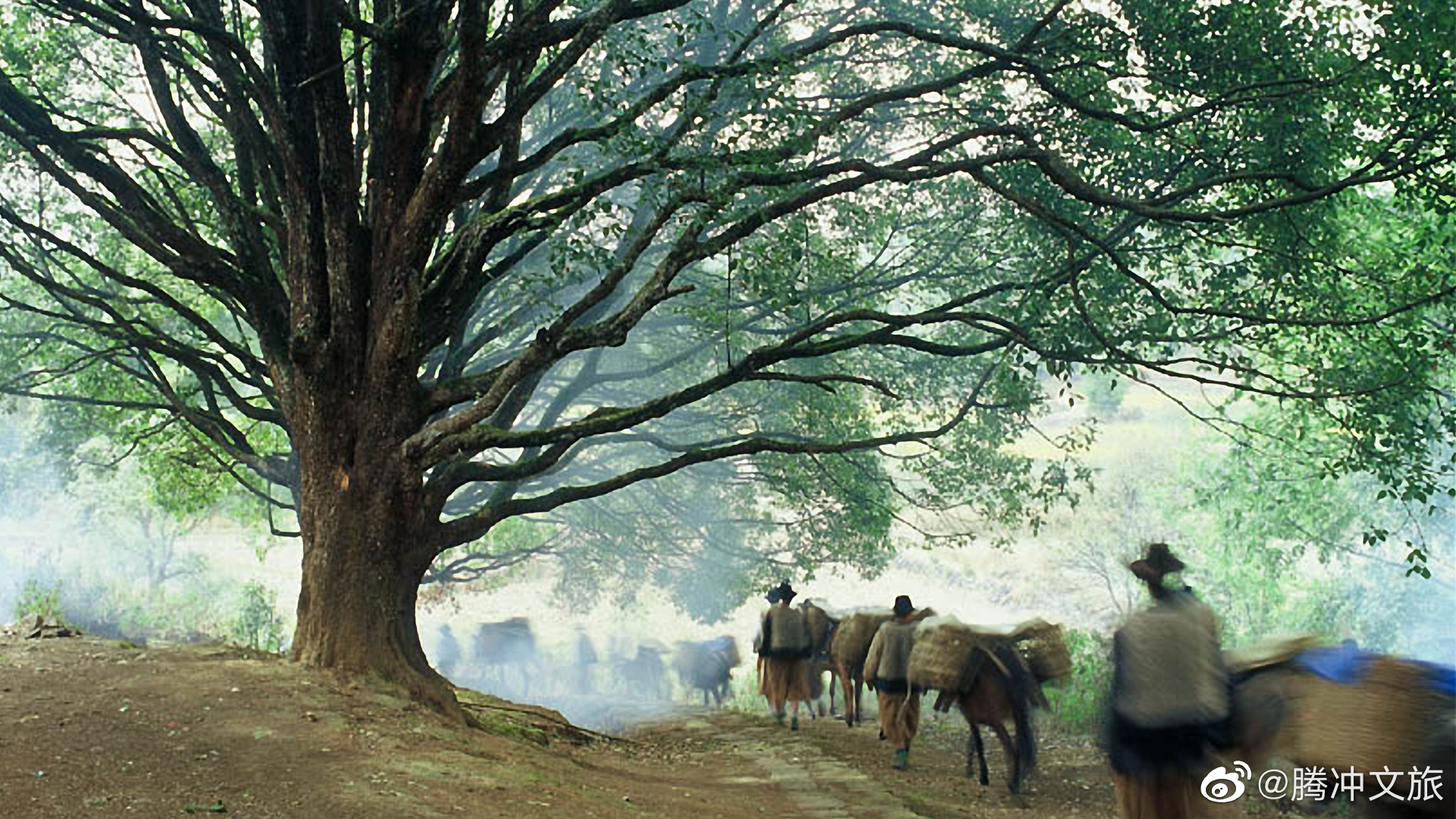 腾冲文旅微博