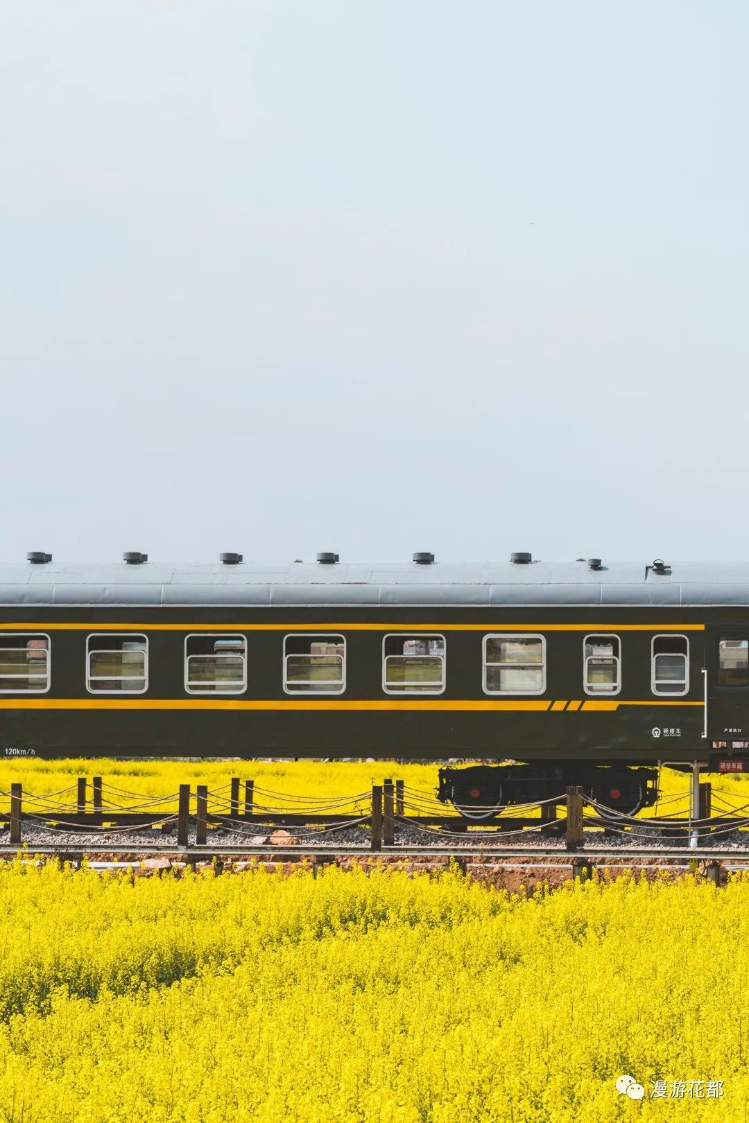 云南省文化和旅游厅