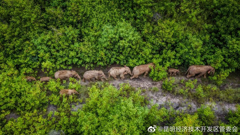 昆明经济技术开发区管委会