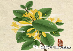 昆明市东川区中医医院