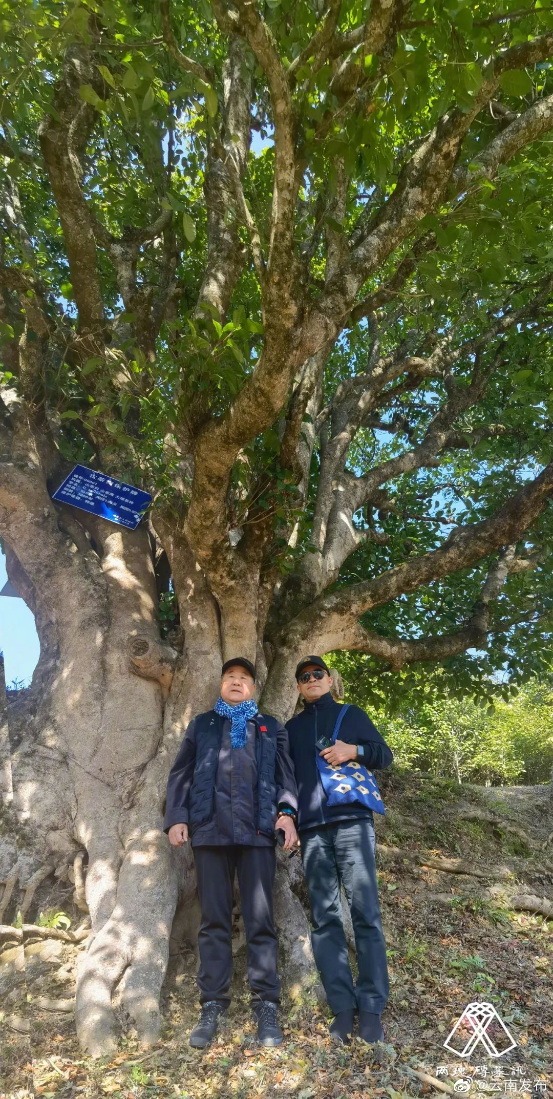 “云南发布”微博