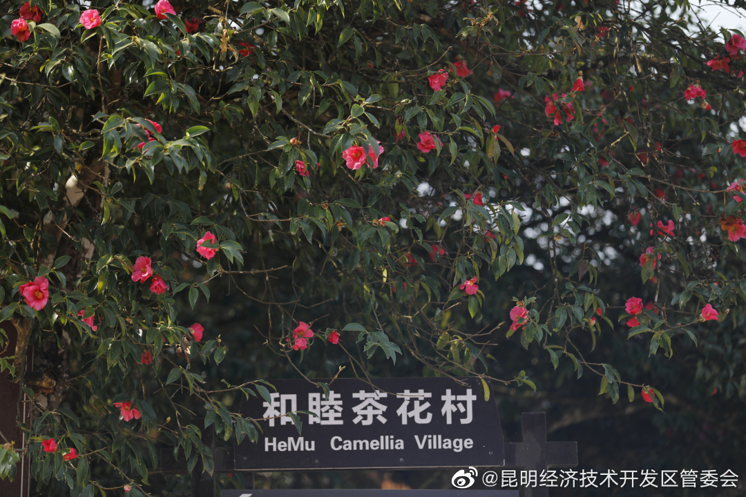 昆明经济技术开发区管委会