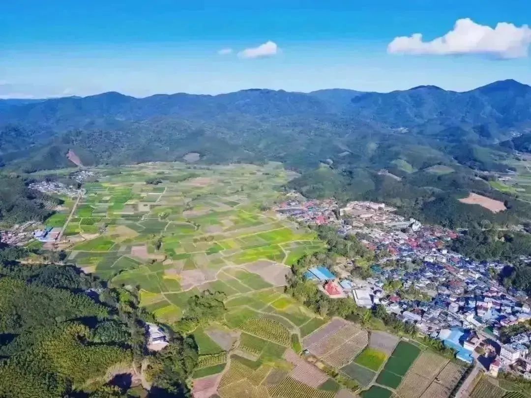 西双版纳傣族自治州人民政府