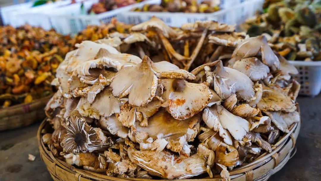 昆明发布