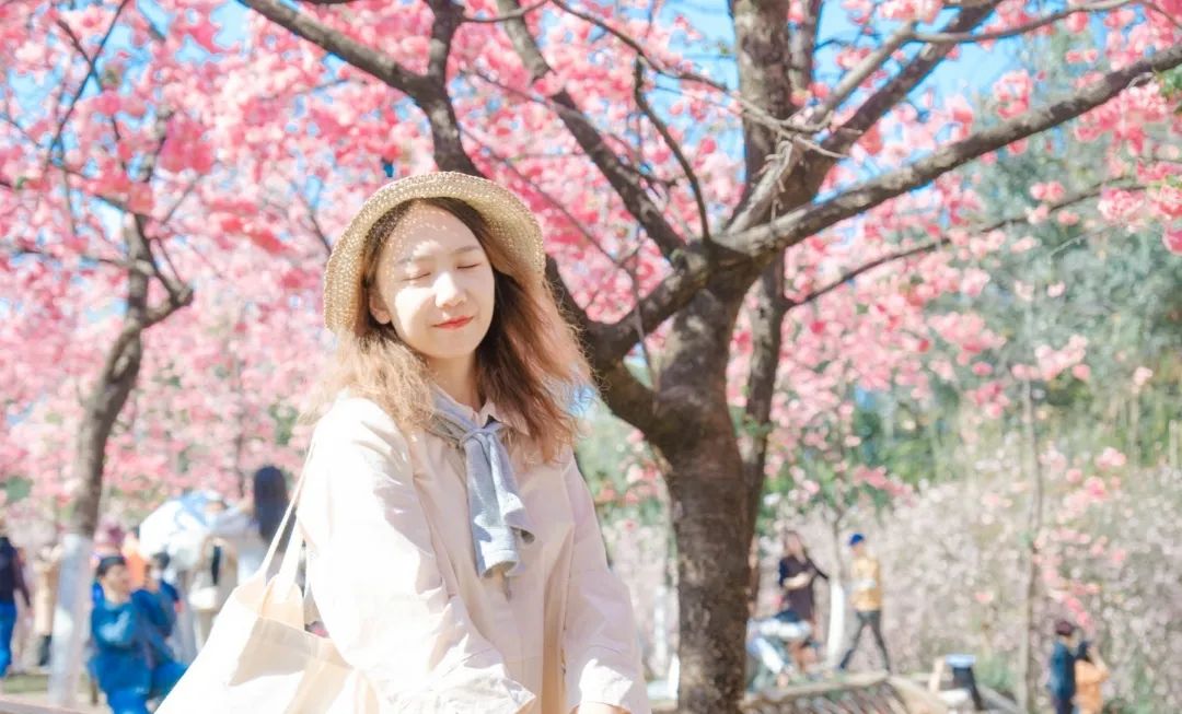 一部手机游云南