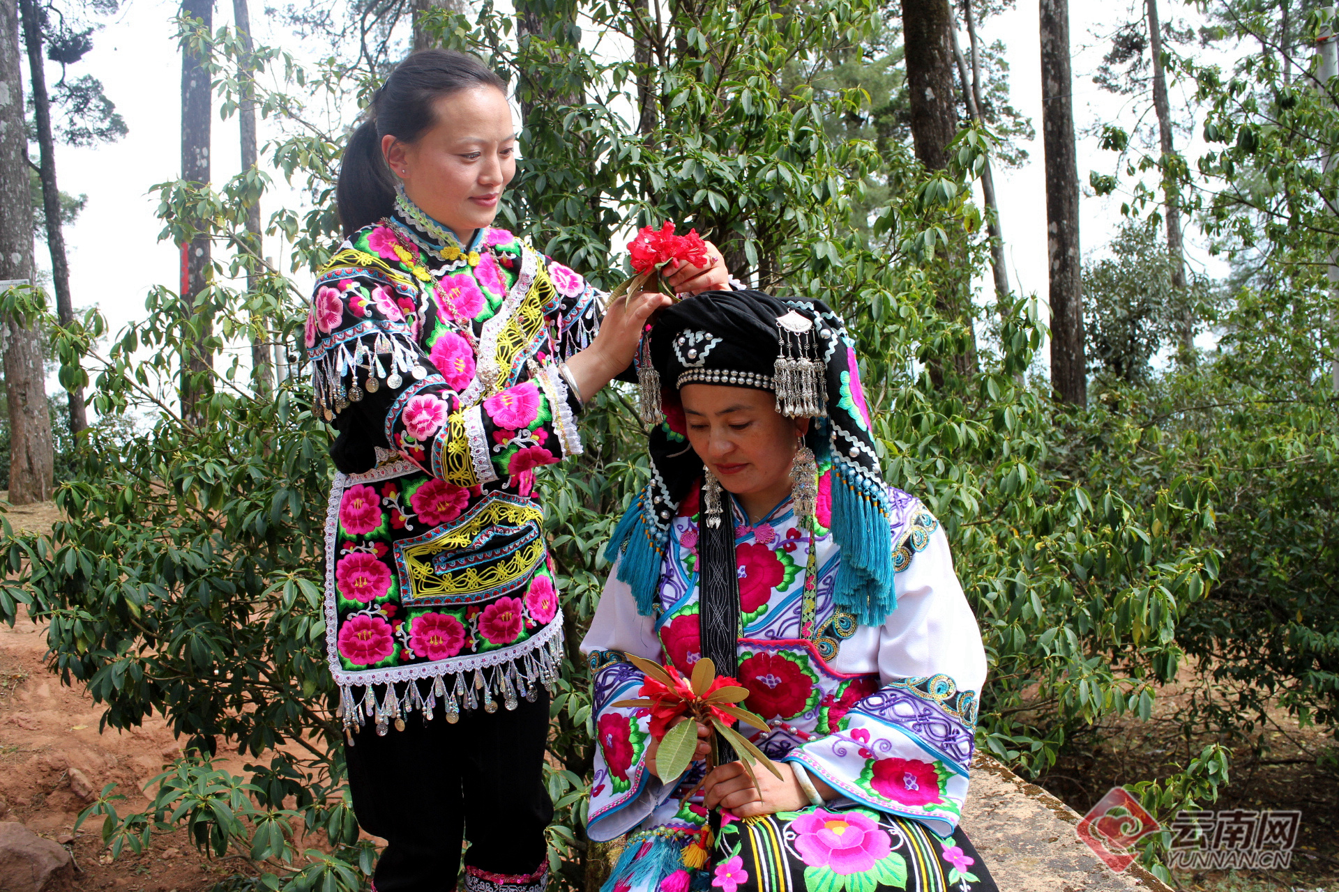 云南省文化和旅游厅