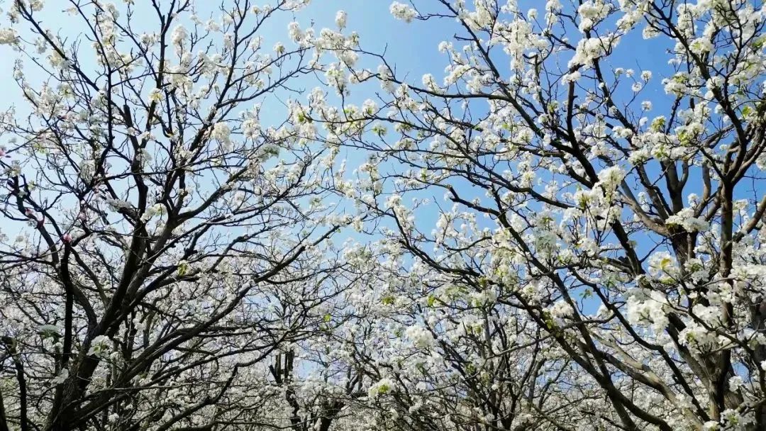 红河日报