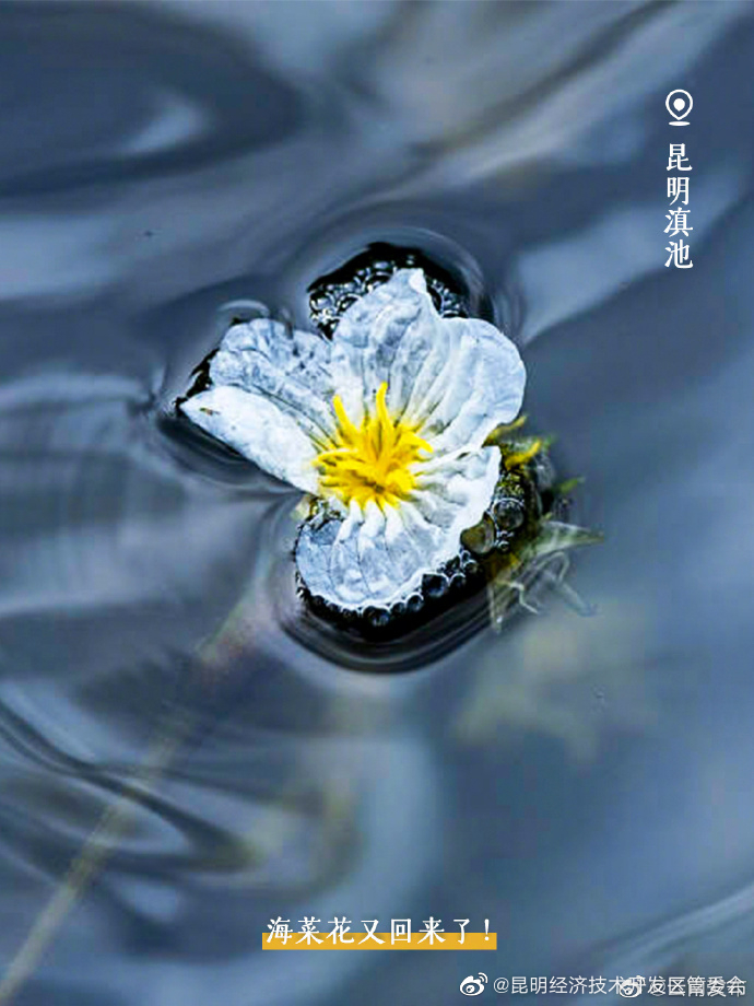 昆明经济技术开发区管委会