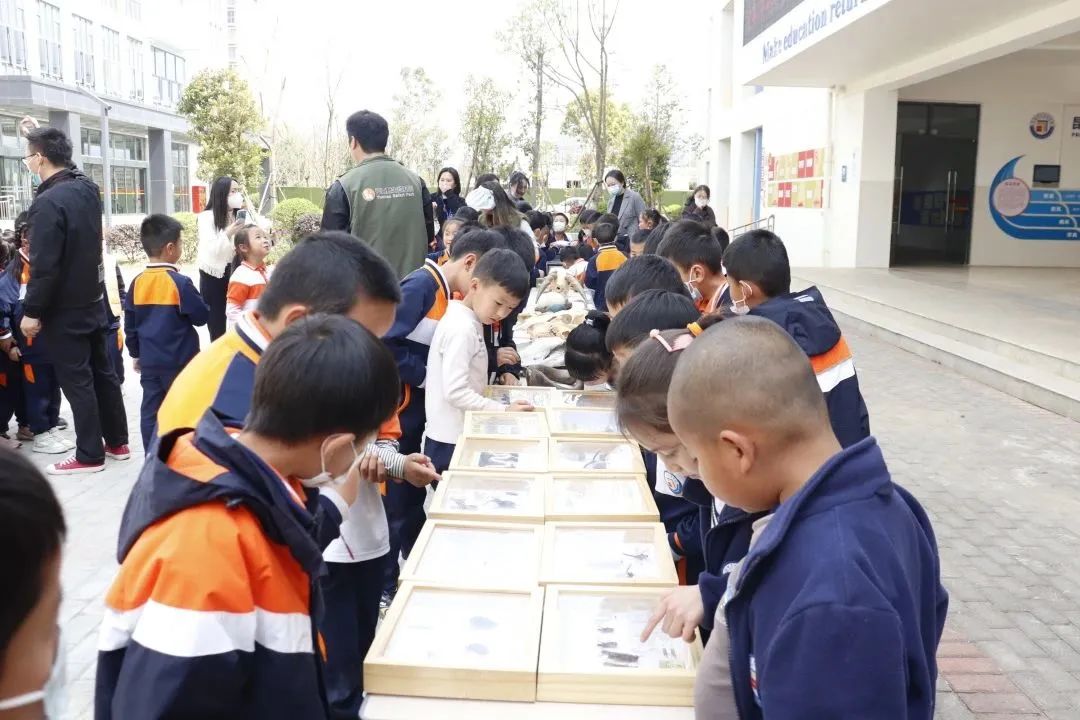 云南野生动物园