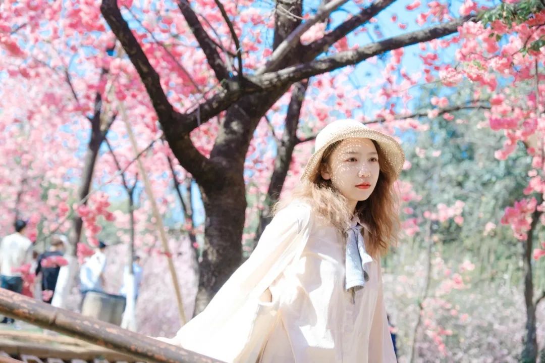 一部手机游云南