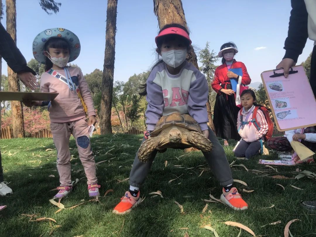 云南野生动物园