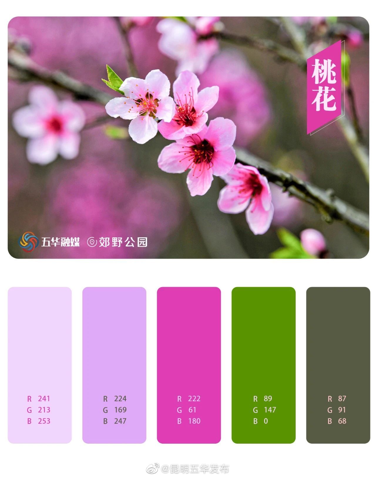 昆明五华发布