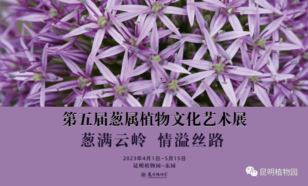 昆明植物园