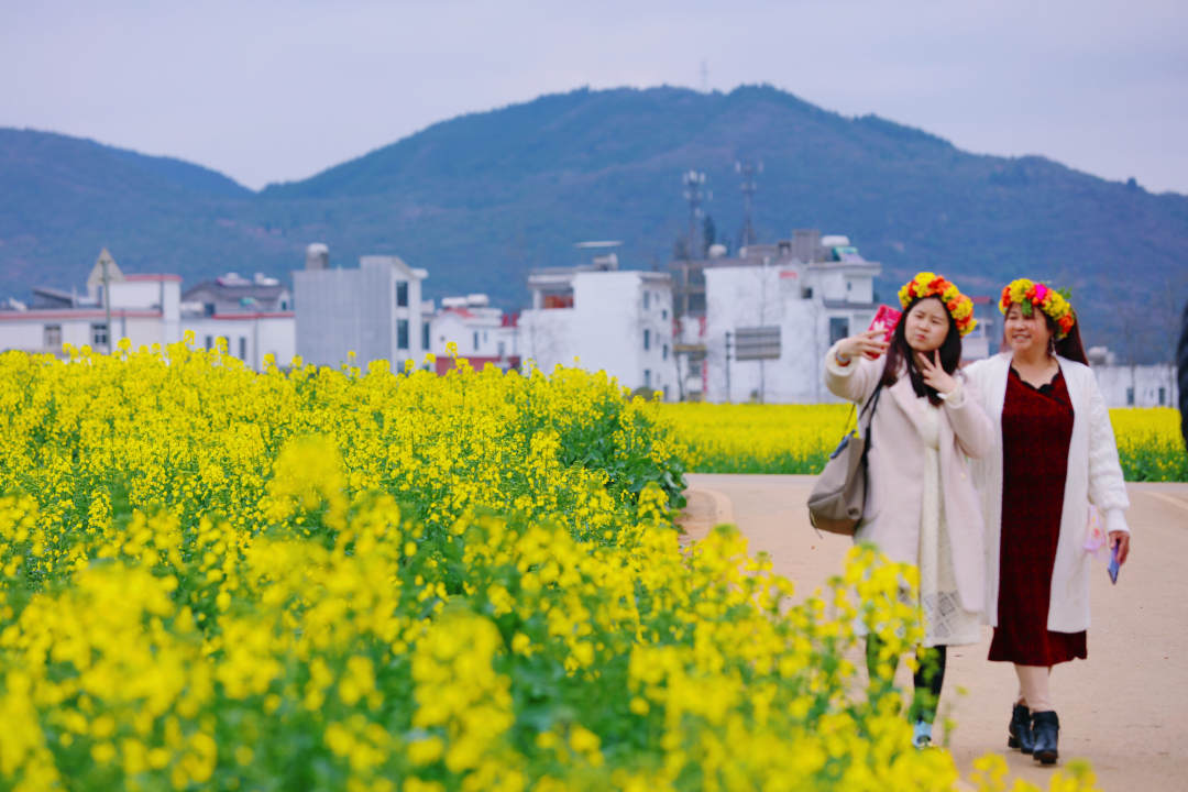 云南省文化和旅游厅