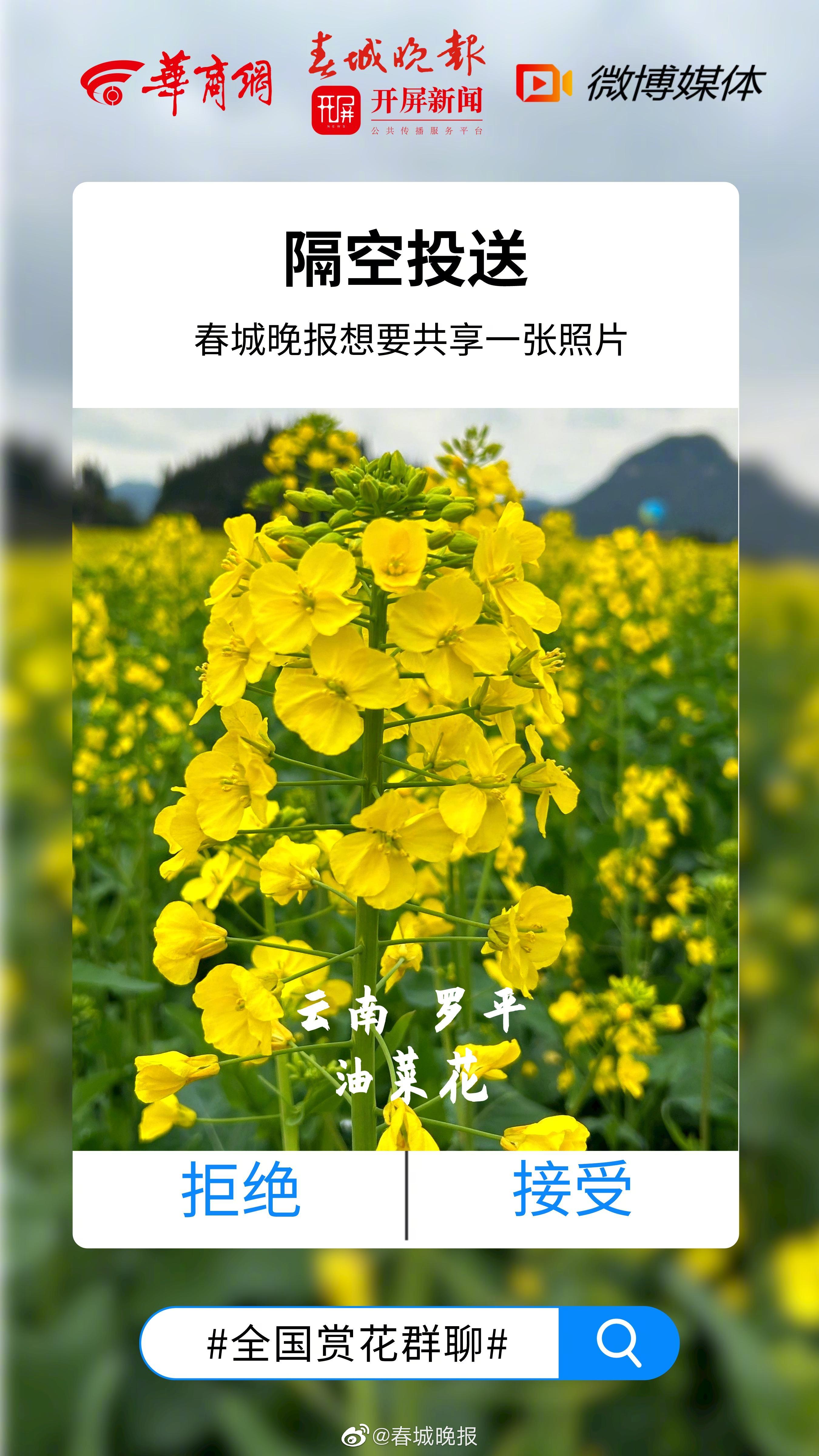 隔空投送油菜花！云南申请加入全国赏花群聊