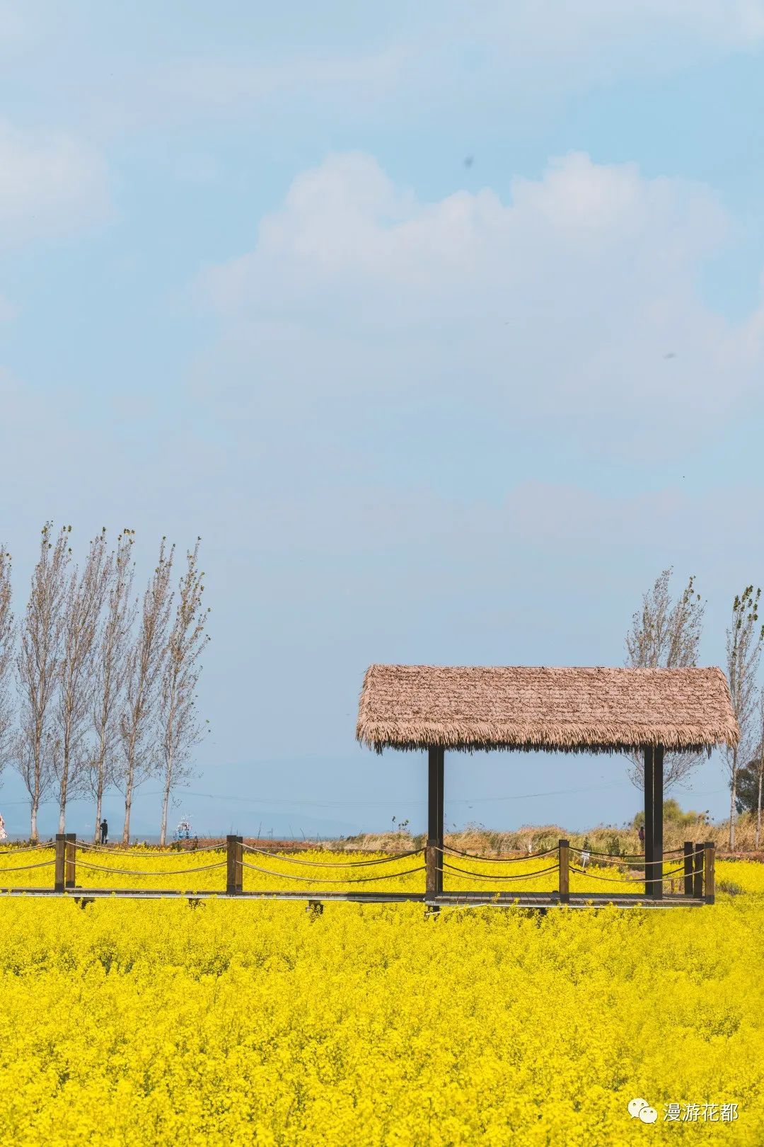 云南省文化和旅游厅