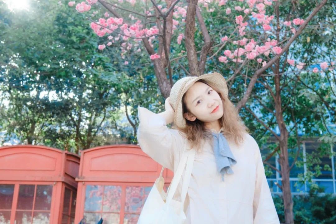 一部手机游云南