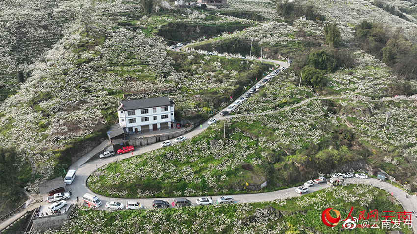 “云南发布”微博