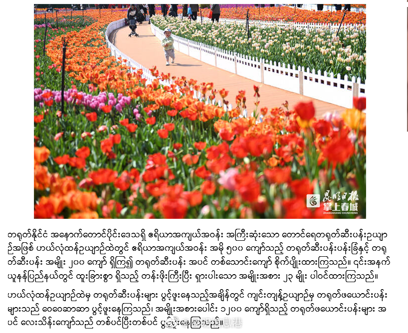 昆明信息港（微博）