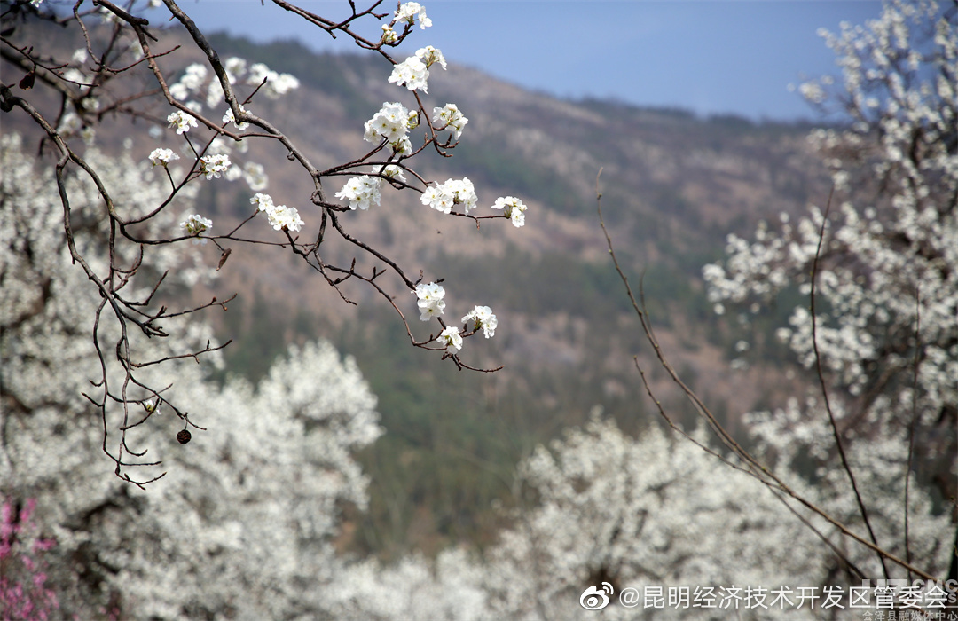 昆明经济技术开发区管委会