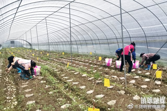 “昆明官渡发布”微博