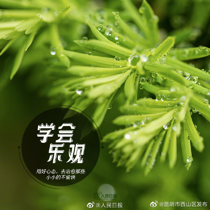 昆明市西山区发布