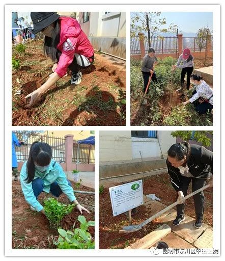 昆明市东川区中医医院