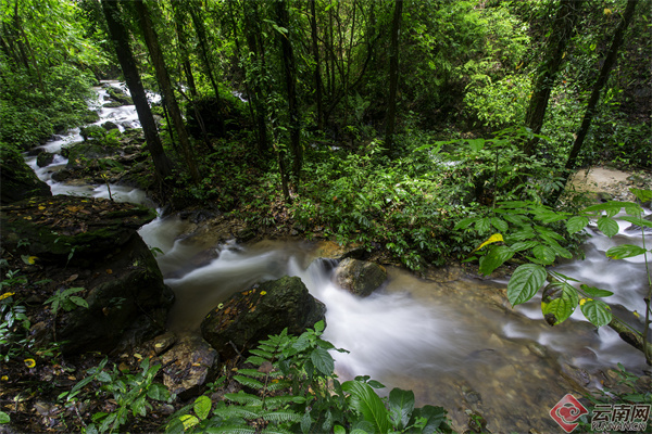 云南省文化和旅游厅